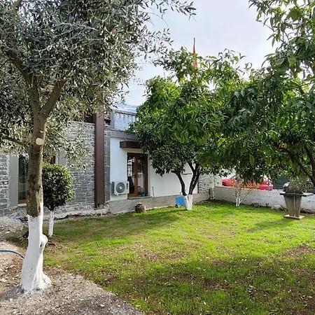 Shuaipaj Saraqinishte