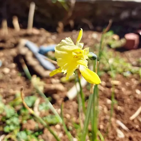 Shuaipaj 招待所 3*