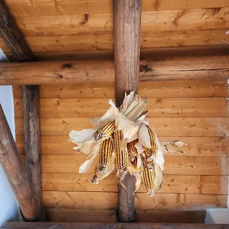 招待所 Shuaipaj 3*