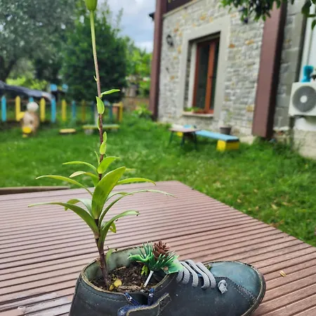 Shuaipaj Saraqinishte